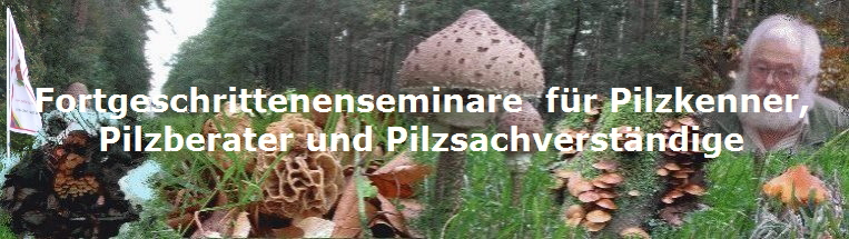 Fortgeschrittenenseminare  fr Pilzkenner,
Pilzberater und Pilzsachverstndige