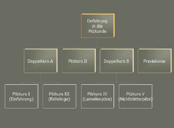 Pilzseminar-wei_2